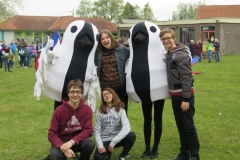 NEERPELT 2016_A